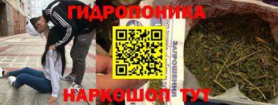 PSILOCYBIN Гай